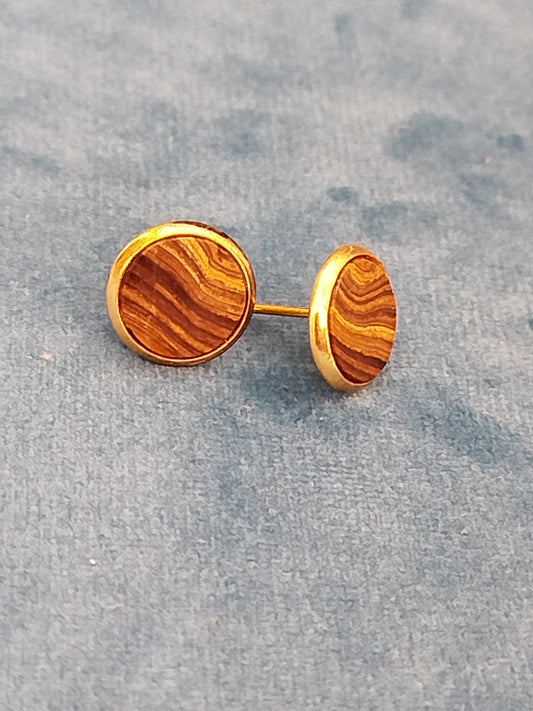 Boucles d'oreilles doré et Stromatolite